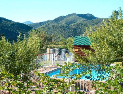 Oppi Dam Camping
